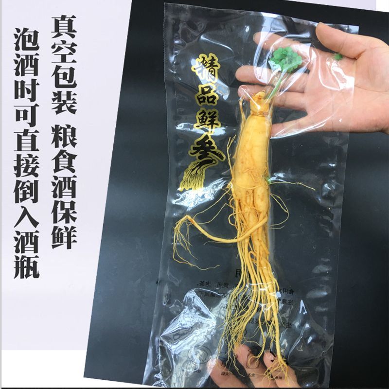 新鲜湿参保鲜参东北特产人参酒滋补品泡酒
