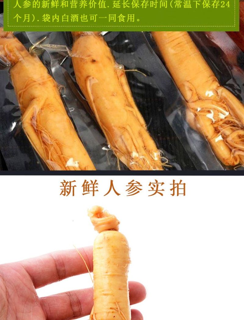 新鲜湿参保鲜参东北特产人参酒滋补品泡酒