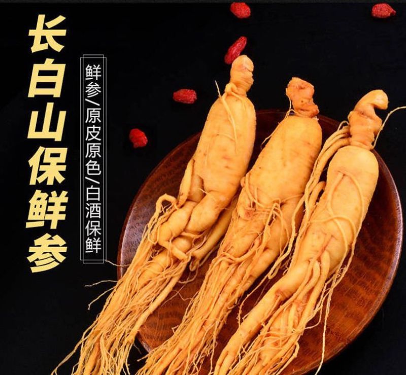 新鲜湿参保鲜参东北特产人参酒滋补品泡酒