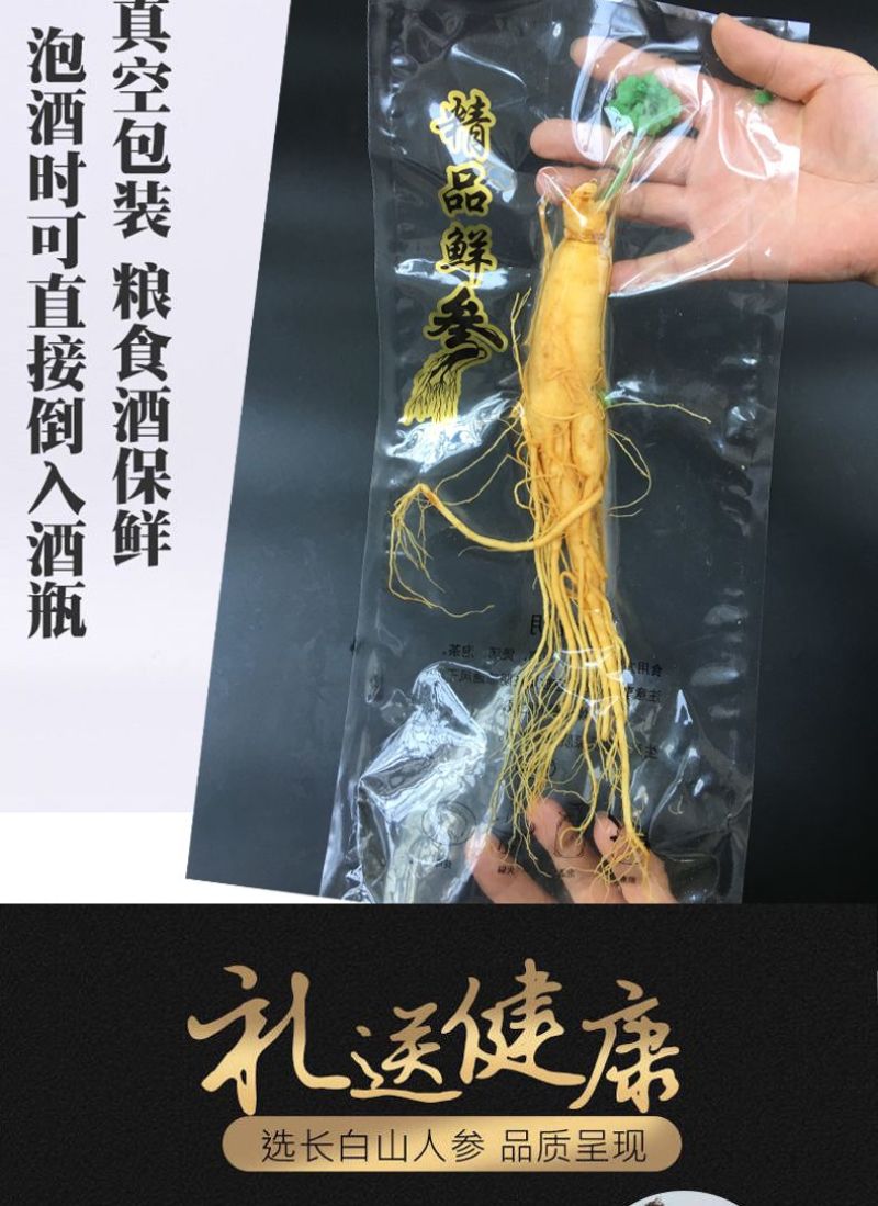新鲜湿参保鲜参东北特产人参酒滋补品泡酒