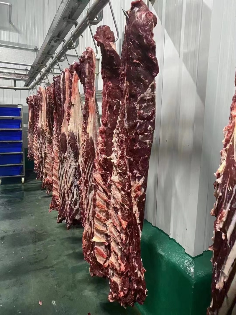 新鲜牛肉黄牛肉产地一手货源一条龙服务大吨位供应