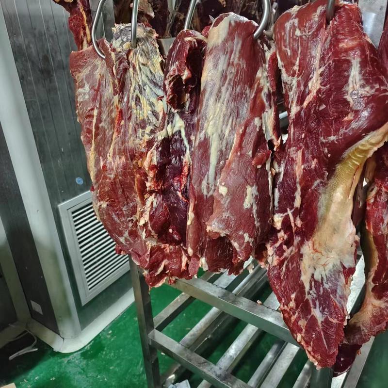 新鲜牛肉黄牛肉产地一手货源一条龙服务大吨位供应