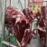 新鲜牛肉黄牛肉产地一手货源一条龙服务大吨位供应