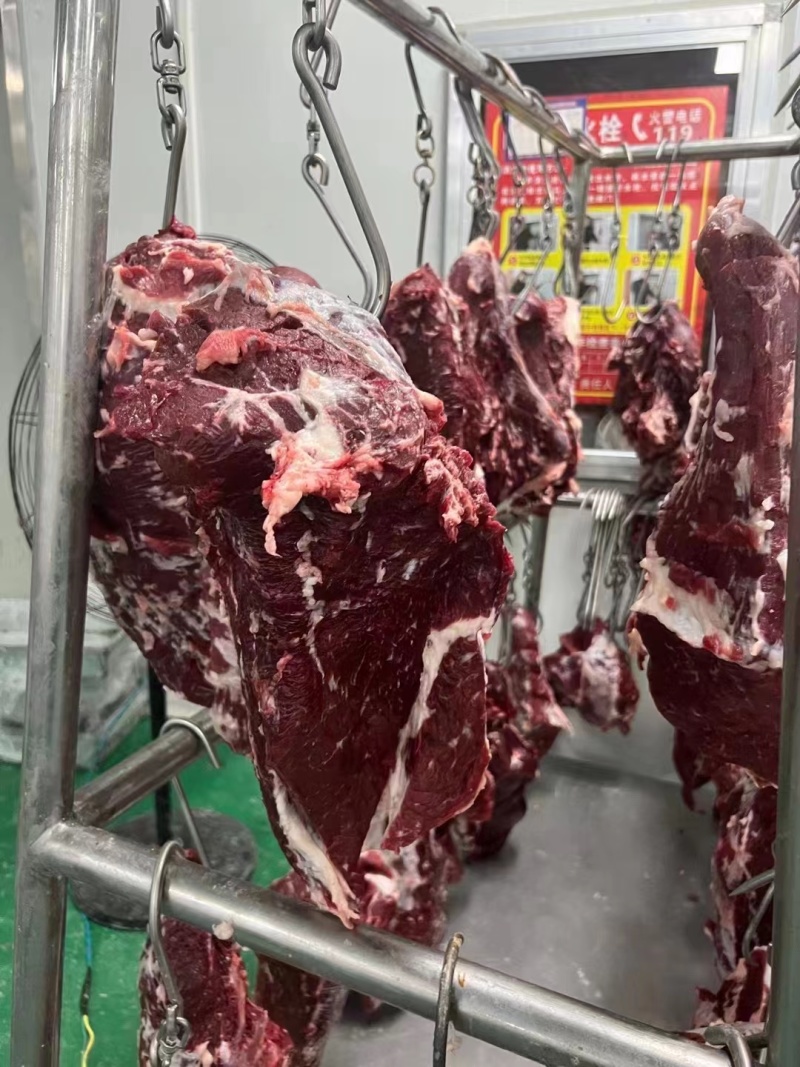 新鲜牛肉黄牛肉产地一手货源一条龙服务大吨位供应