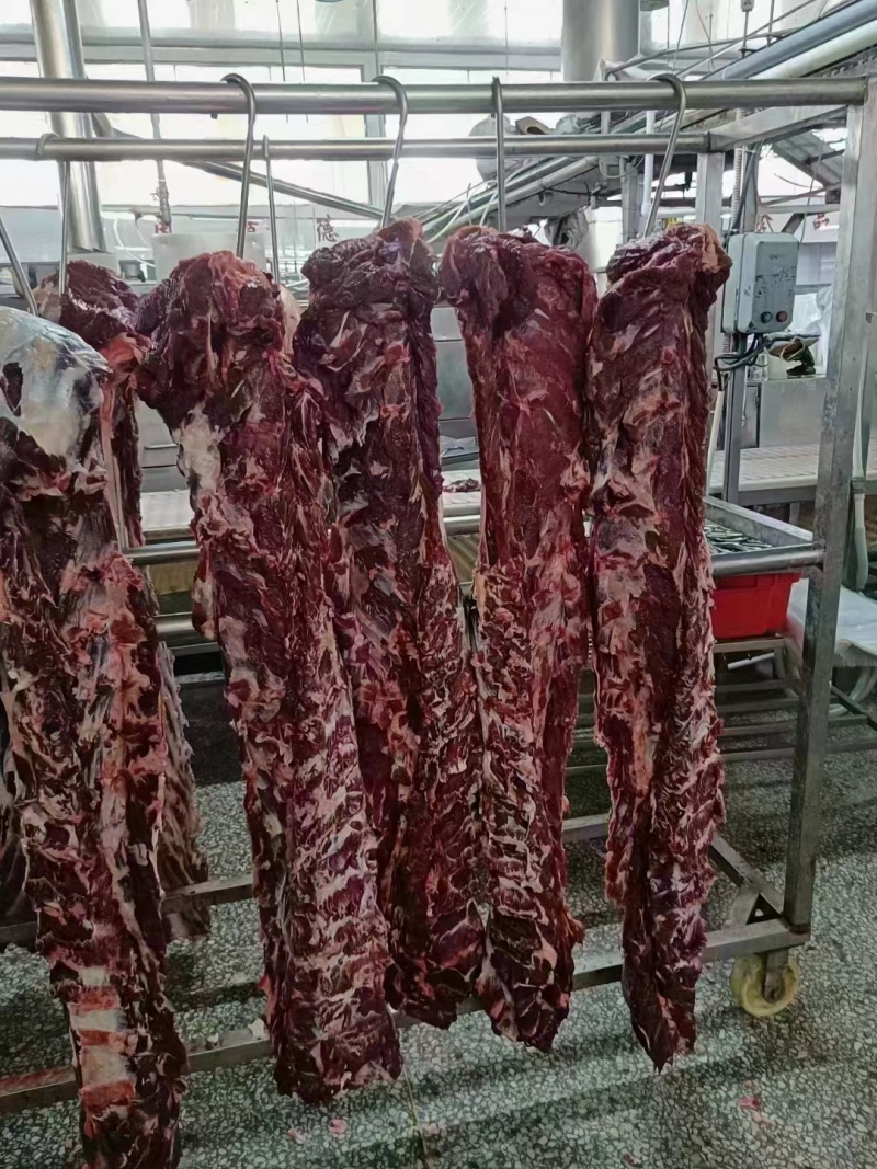 带皮小黄牛肉新鲜贵州牛肉现宰先发产地一手货源大量供应