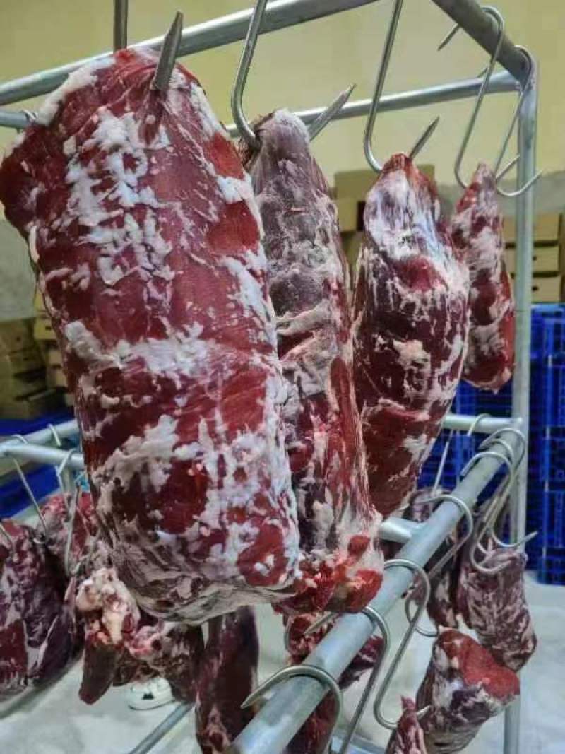 带皮小黄牛肉新鲜贵州牛肉现宰先发产地一手货源大量供应
