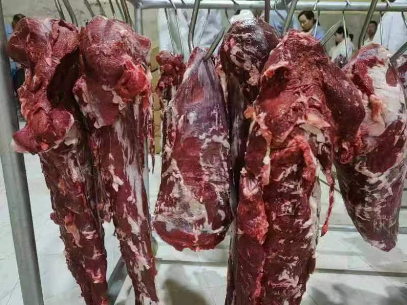 带皮小黄牛肉新鲜贵州牛肉现宰先发产地一手货源大量供应