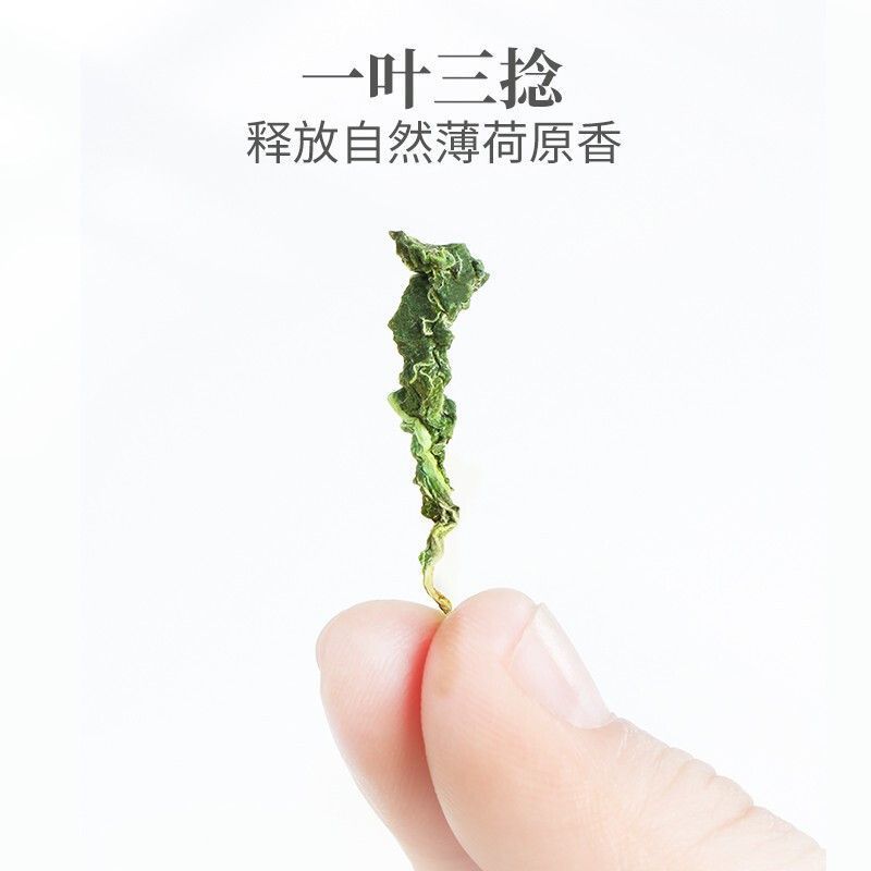 薄荷叶干薄荷叶清热食用清凉提神夏天薄荷叶五叶新鲜薄荷茶泡