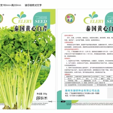 泰国黄心芹种子适用基地欢迎代理