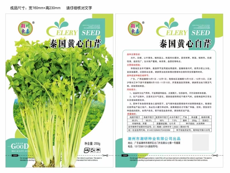 泰国黄心芹种子适用基地欢迎代理