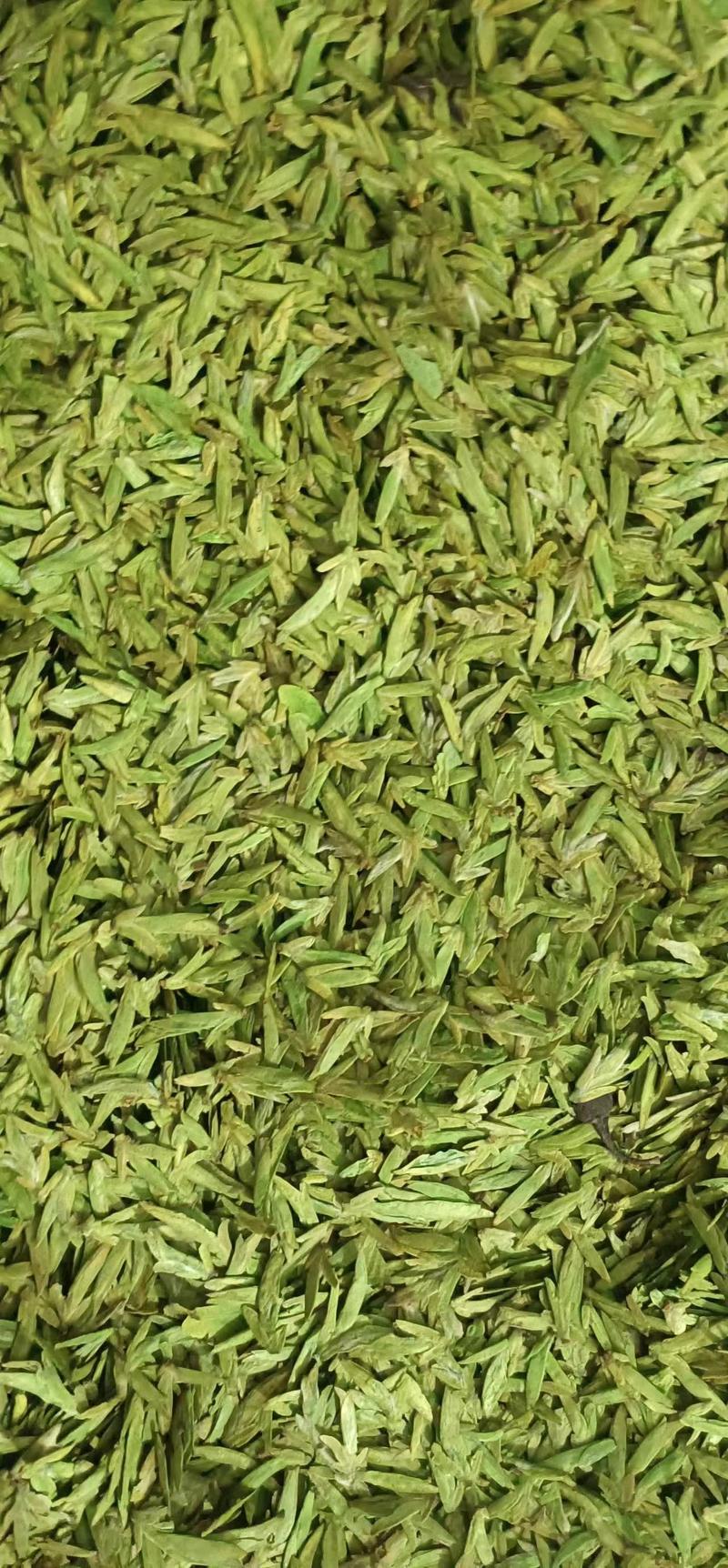 [2024新茶龙井茶]绿茶杭州明前龙井豆香春茶散装全国发货
