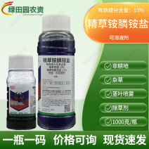 独龙刀10%精草铵膦铵盐非耕地荒地空地田埂杂草专用除草剂