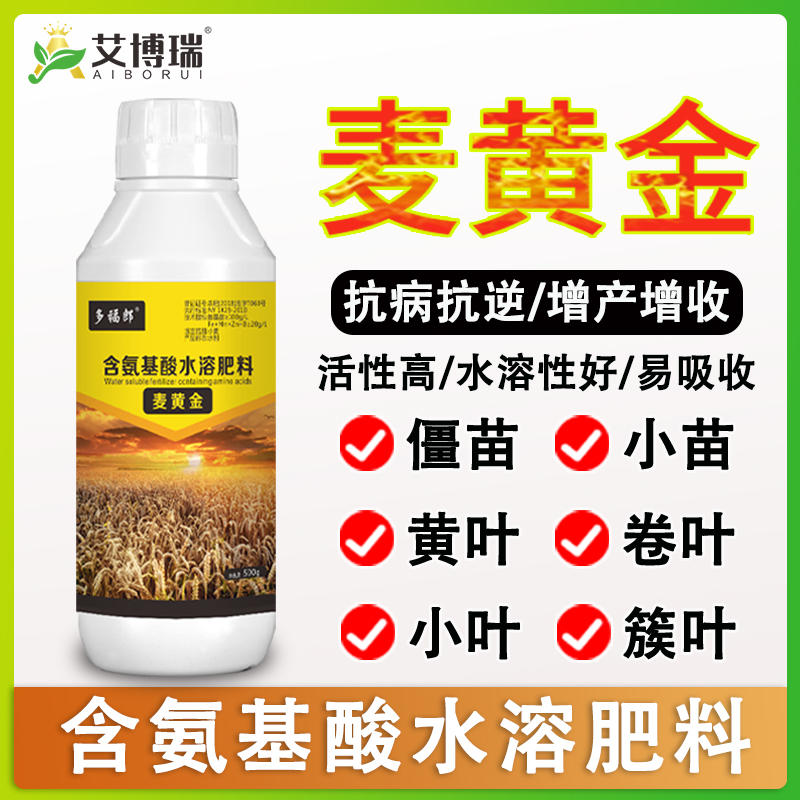 麦黄金含氨基酸水溶肥料促进分蘖快速灌浆高产抗倒伏
