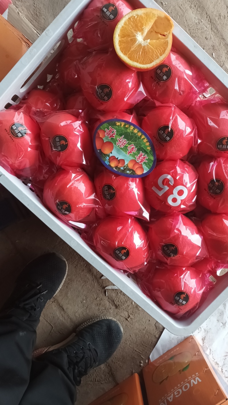 精品赣南脐橙大量供应产地直发量大从优欢迎咨询