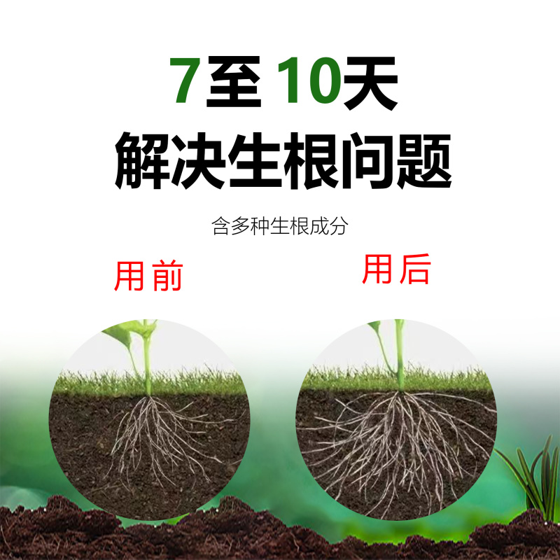 含腐植酸水溶肥料爆根含有多种生根成分活化酶养根生根专用