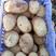 云南精品土豆上市中对接商超批发商电商规格齐全价格优惠