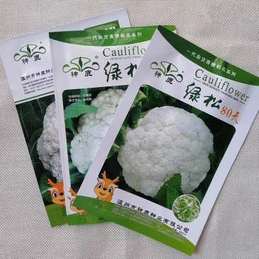 神鹿绿松青梗松花菜种子，耐热耐寒，花球雪白，基地专用