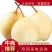 【河北精品水晶鸭梨】大量供应口感脆甜个头大货源充足