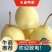 【河北精品水晶鸭梨】大量供应口感脆甜个头大货源充足