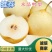 【河北精品水晶鸭梨】大量供应口感脆甜个头大货源充足