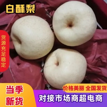(清库处理)蒲城白酥梨套袋酥梨价格便宜。欢迎新老客户