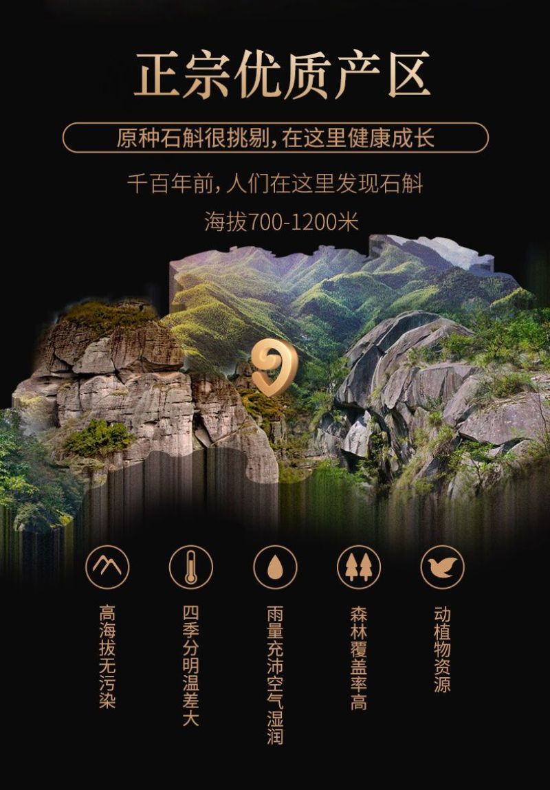 崖壁生长铁皮枫斗颗粒干霍山石斛胶多可磨粉坏了
