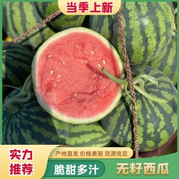 海南西瓜/美都西瓜/麒麟西瓜/大量上市/保质保量