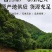 泽泻中药材泽泻无硫无添加