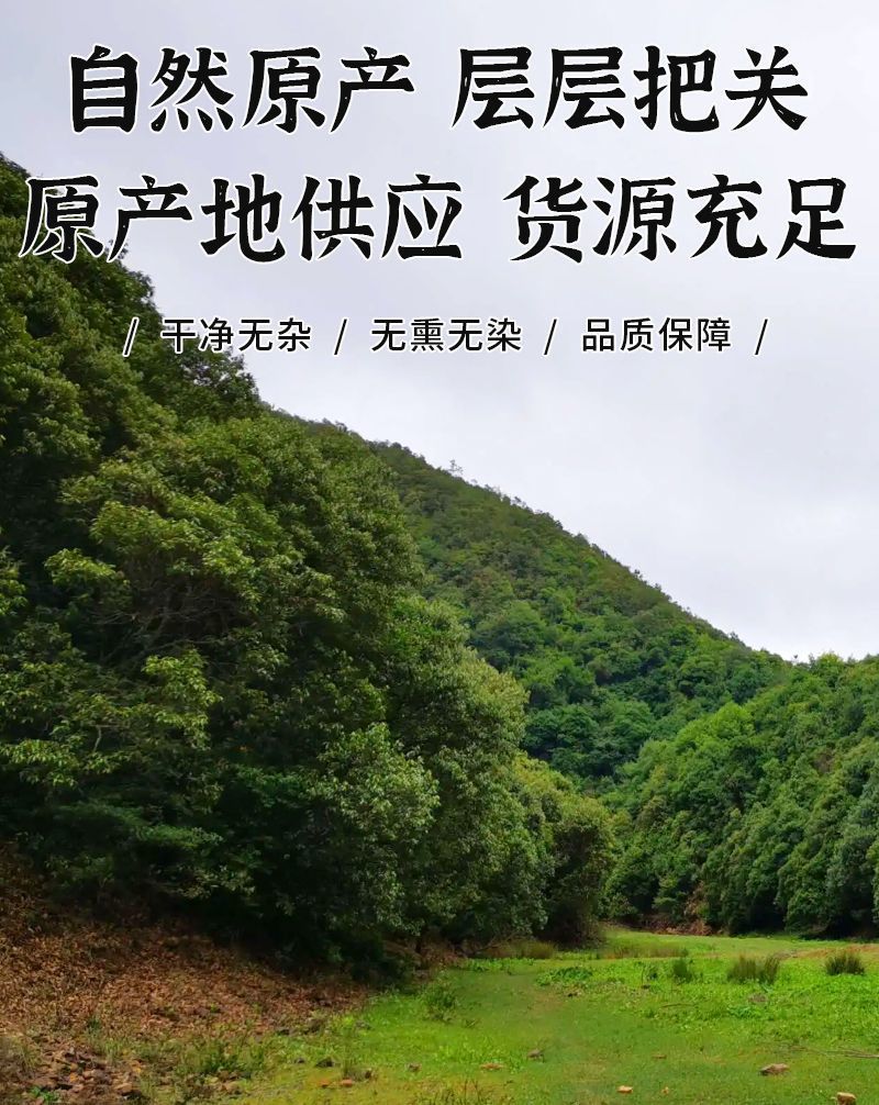 泽泻中药材泽泻无硫无添加