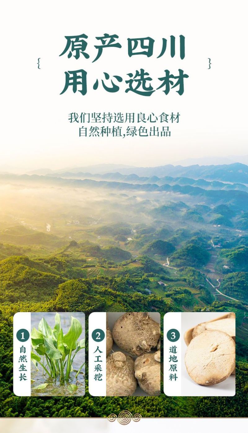 泽泻中药泽泻片野生四川泽泻个中药材