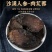 肉苁蓉野生阿拉善整根切片鲜干片泡茶水泡