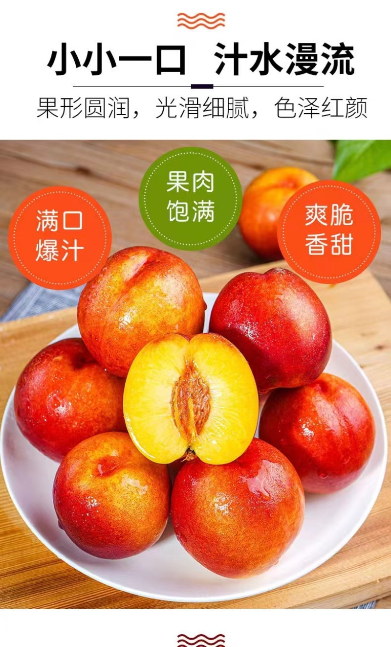 【油桃】曙光金雷中油，品种齐全，一手货源