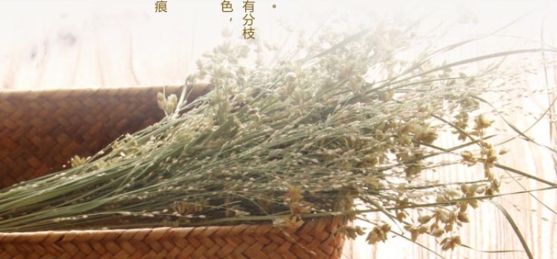 玉竹片野生玉竹肉玉竹