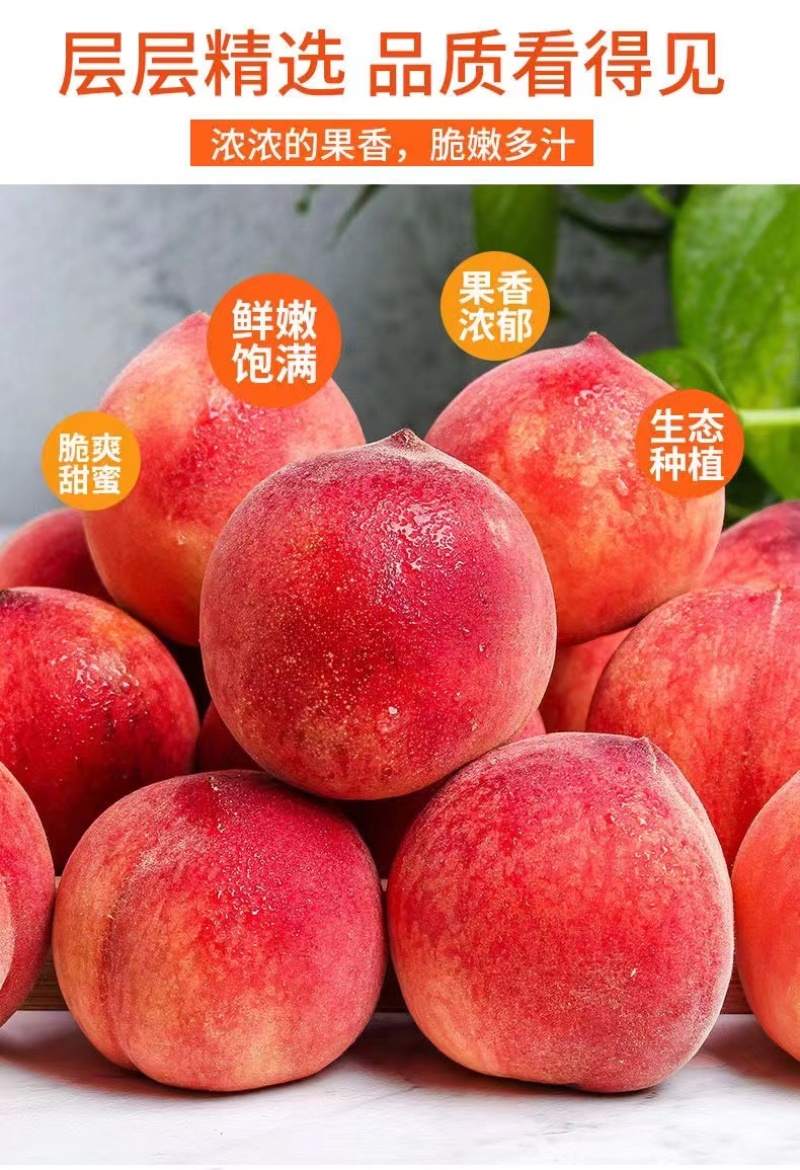 精品毛桃突围春雪红不软，品种多，货源足