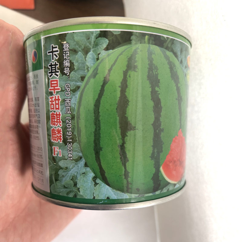 卡其早甜麒麟西瓜种子早熟甜脆多汁皮薄大果易坐果大红瓤西