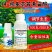 14羟基芸苔素甾醇0.01%高含量蔬菜果树植物生长调节剂