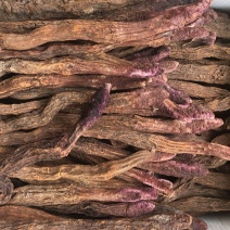 锁阳整根切片锁阳搭配肉苁蓉泡酒
