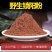 锁阳整根切片锁阳搭配肉苁蓉泡酒