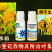 14羟基芸苔素甾醇0.01%高含量蔬菜果树植物生长调节剂