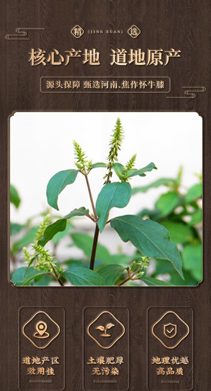 牛膝中药野生特级怀牛膝正品红牛膝无硫