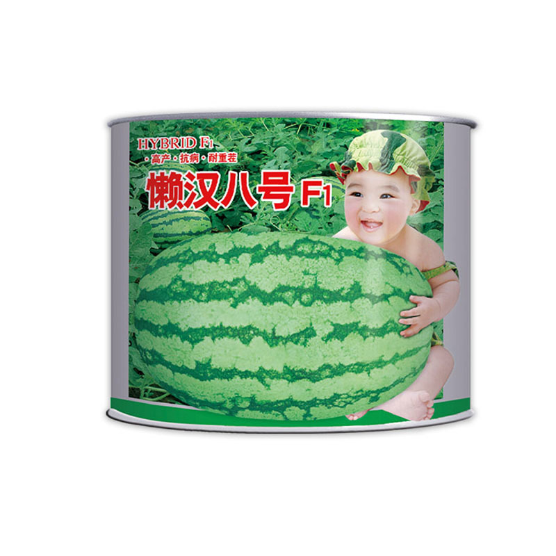 懒汉八号西瓜种子大果型红瓤抗耐重易坐果糖度高