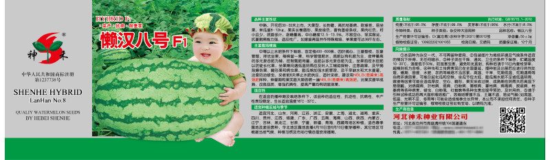 懒汉八号西瓜种子大果型红瓤抗耐重易坐果糖度高