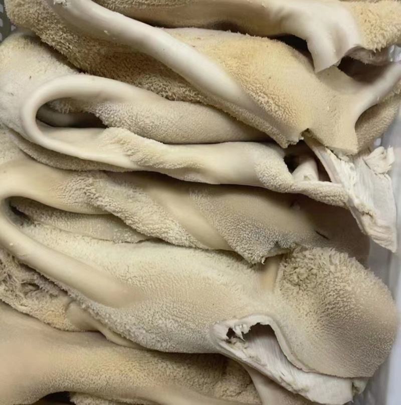 【精品牛肚】厂家直销品质好，火锅食材必备，价格优