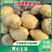 【新鲜】湖北优质土豆黄肉黄心大土豆质优价廉对接全国