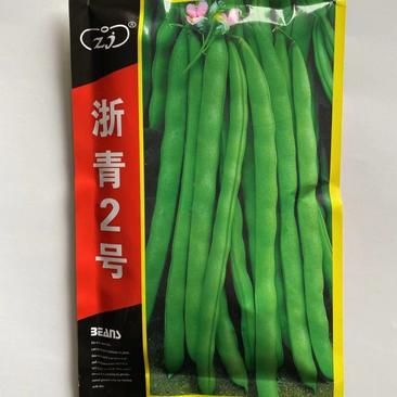 浙青2号四季豆种子，嫩荚绿色，扁圆，结荚率高，耐热基地用