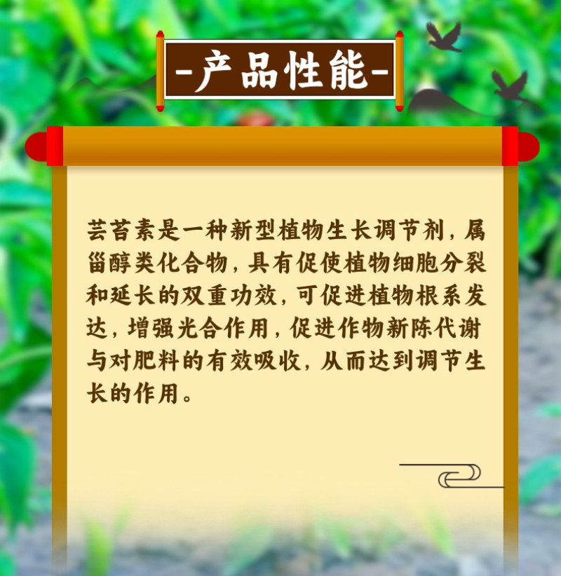 14羟基芸苔素天然提取吸收利用率高调节生长