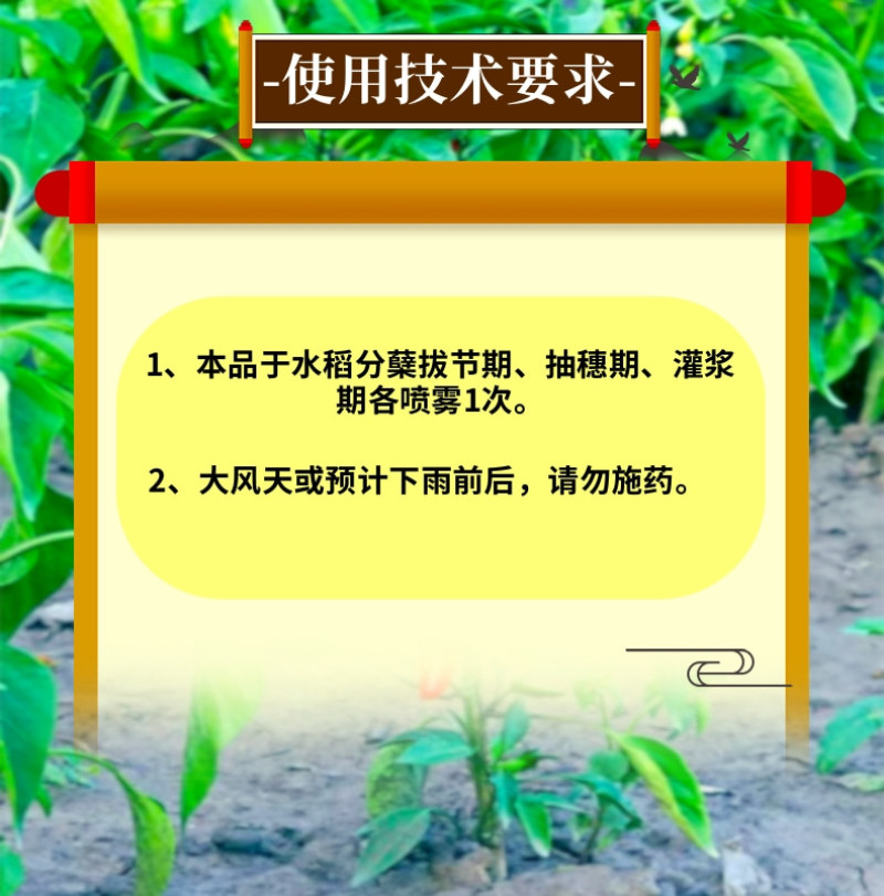 14羟基芸苔素天然提取吸收利用率高调节生长