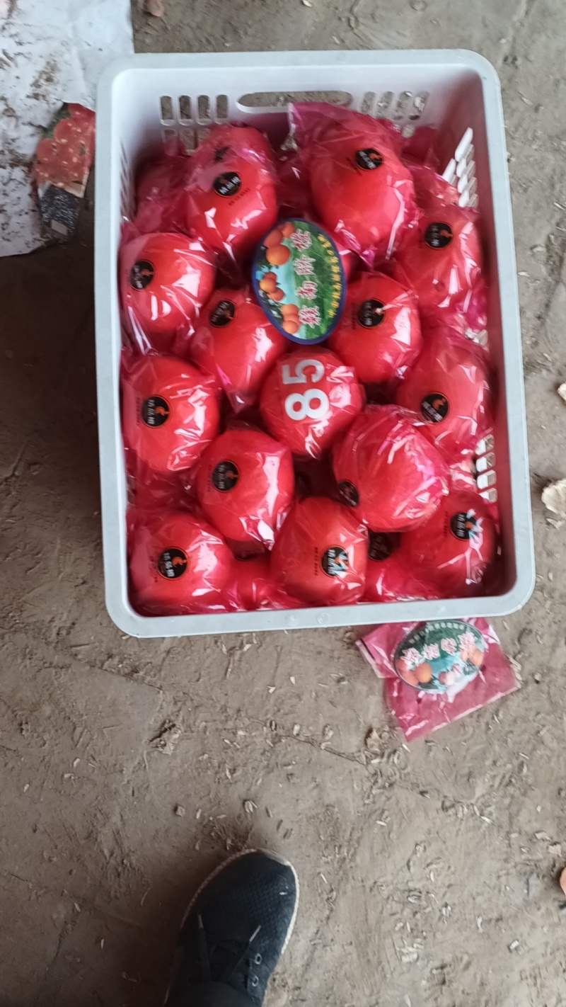 精品赣南脐橙大量供应产地直发量大从优欢迎咨询