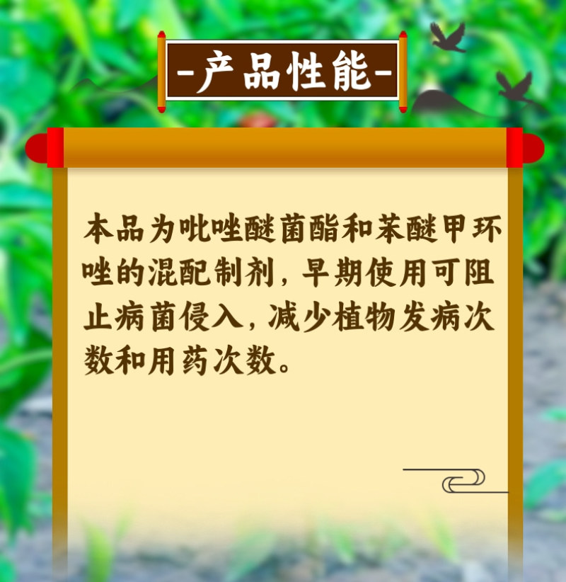 40%苯甲吡唑酯白粉病炭疽病真菌病害杀菌剂