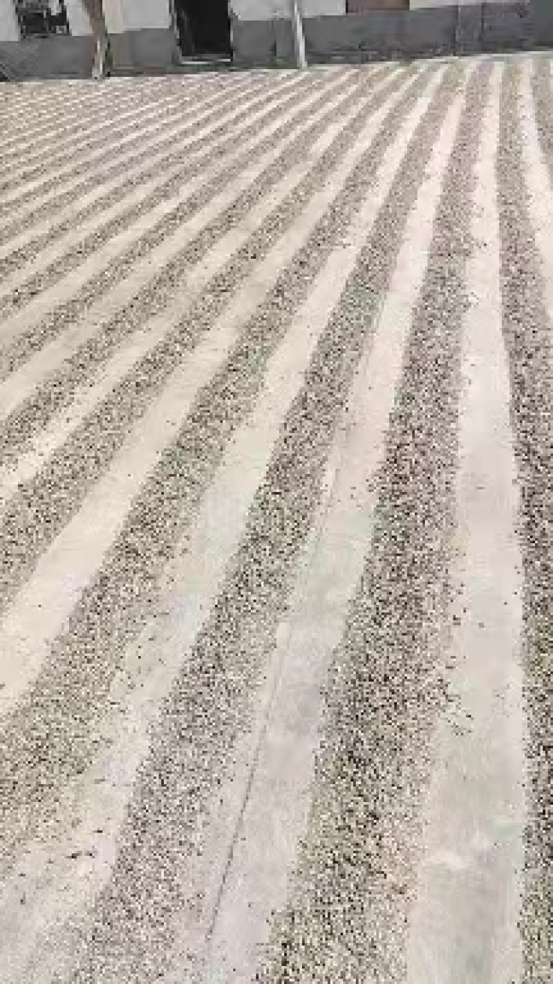 干鹌鹑粪大量供应
